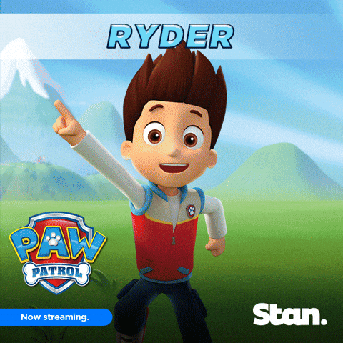 chase and ryder paw patrol