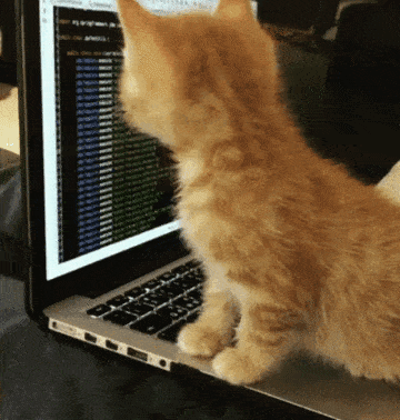 Imagen animada de un gatito sobre una notebook presionando una tecla y mirando a la pantalla