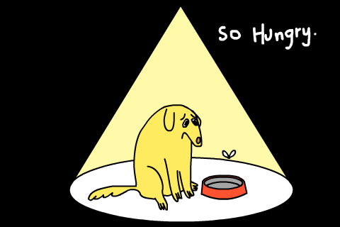 Hungry Lunchtime GIF By GIPHY Studios Originals Hungry Lunchtime GIF By GIPHY Studios Originals