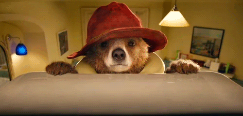 Wait For It Oops GIF by Paddington Bear