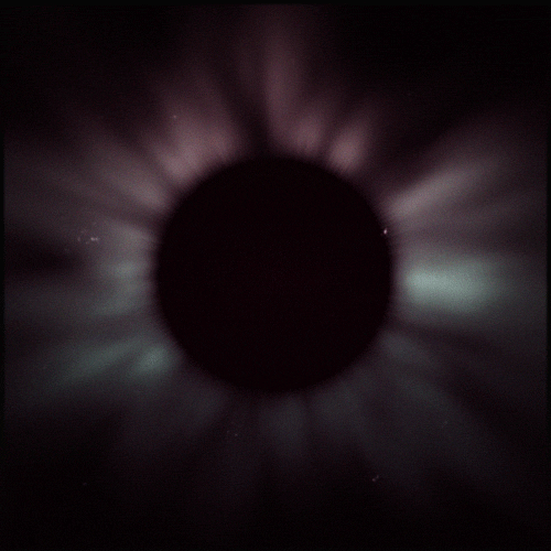 Eye Gif Artist GIF by Erica Anderson Find & Share on GIPHY