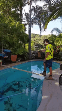 200w.gif