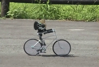 Tipo de ciclista de carretera: Mr. Robot