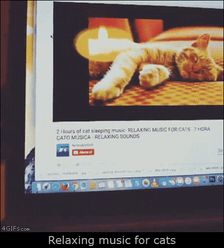 Cat Relaxing Music in funny gifs