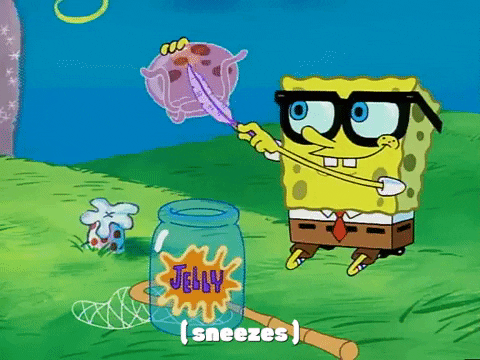 SpongeBob Season 2 Episode 19a Jellyfish Hunter – Bubbles of Thoughts