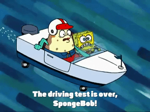 Image result for driving recklessly spongebob gif