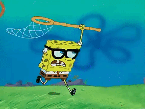 Season 2 Jellyfish Hunter GIF By SpongeBob SquarePants Find Share season-2-jellyfish-hunter-gif-by-spongebob-squarepants-find-share