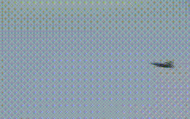 giphy.gif