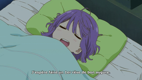 Hatsuyume : le 1er rêve de l'année