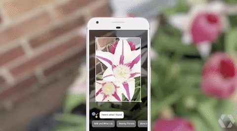 ¡Por fin! Google Lens permitirá copiar textos escritos a mano y enviarlas a la computadora