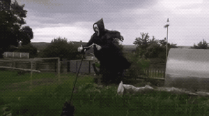Scarecrow in funny gifs