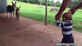 Baby To Baby in funny gifs