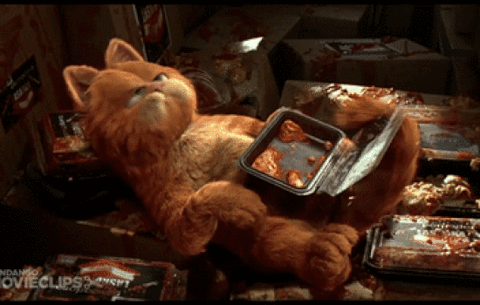 Garfield GIF - Find & Share on GIPHY