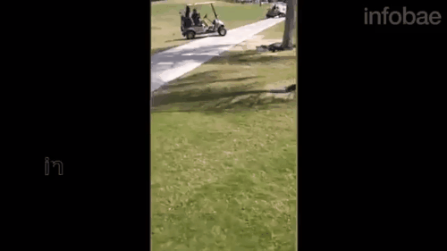 source: imgur.com