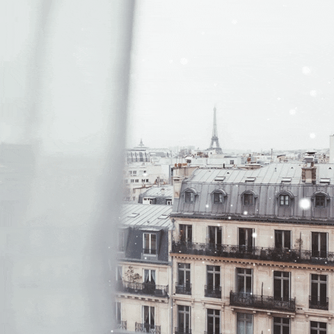 Snow Paris GIF by mylittleparis - Find & Share on GIPHY