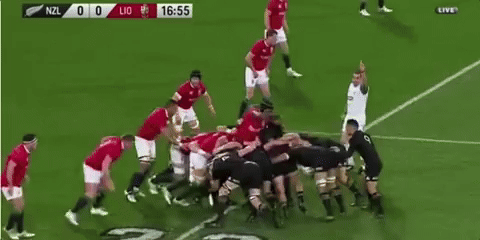 Animated GIF - Find & Share on GIPHY