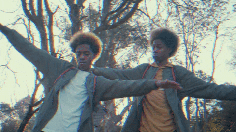 Twin Giants Fly Above GIF by Mula Gang - Find & Share on GIPHY