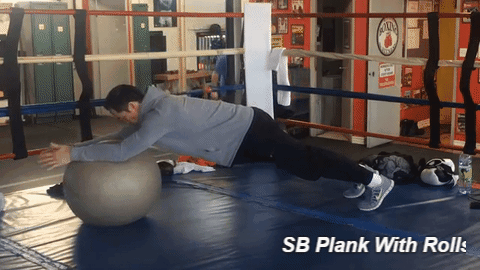 Core Stabilization Exercises - Stability ball plank with rolls
