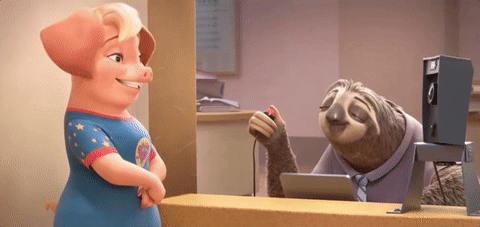 Zootopia sloth DMV gif - A Quinceanera themed image featuring a sloth from the movie Zootopia at the DMV
