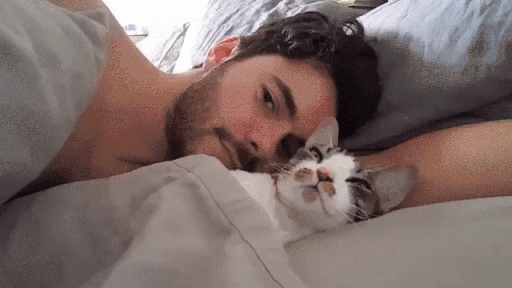 Man Love Cat in cat gifs