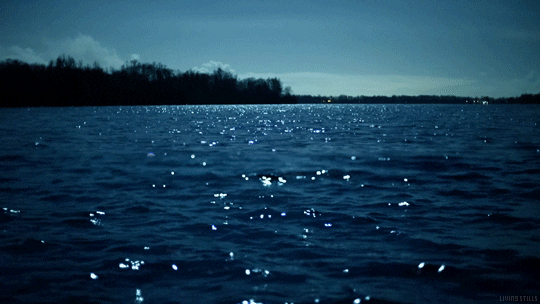 Night Lake GIF by Living Stills - Find & Share on GIPHY