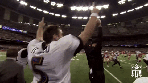 Baltimore Ravens Football GIF by NFL