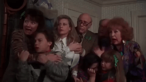 Christmas Vacation GIF  Find & Share on GIPHY