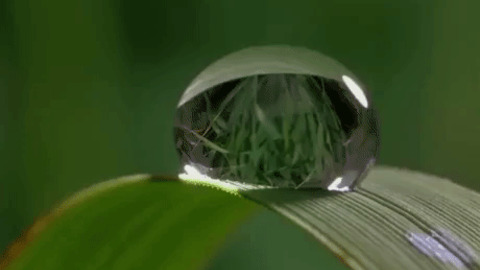 Water Droplet Evaporation