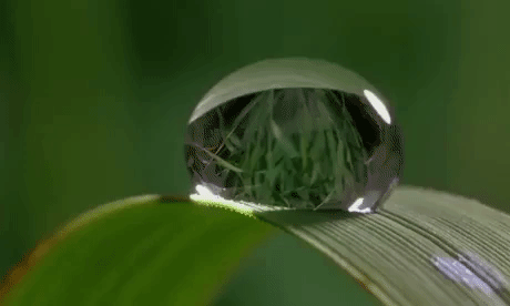 Water Droplet Evaporation in funny gifs