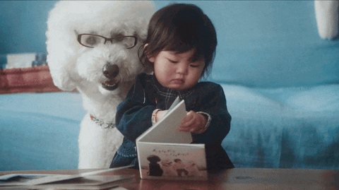 white poodle dog wearing glasses and sitting with baby opening and reacting to picture book