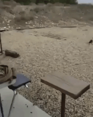 Shoot A Spider in funny gifs
