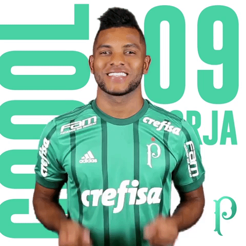 GIF by SE Palmeiras - Find & Share on GIPHY