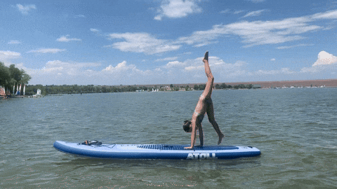 Atoll Boards GIF