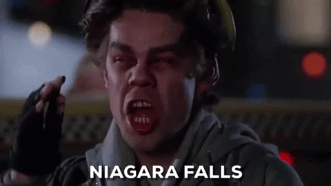 Image result for scrooged niagara falls