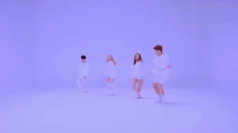 giphy.gif