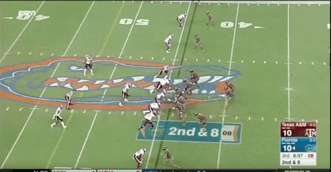 Gators Take Sack From Slide GIFs - Find & Share on GIPHY