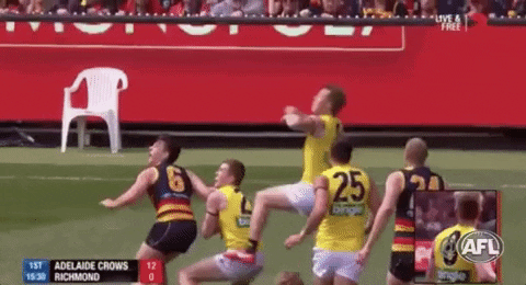 https://media.giphy.com/media/3ohhwFciiAF34dCUEg/giphy.gif