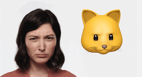 Emojis de gatos en WhatsApp, cuál es su significado.-Blog Hola Telcel