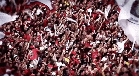 A busca do Flamengo pela liderança do Brasileirão