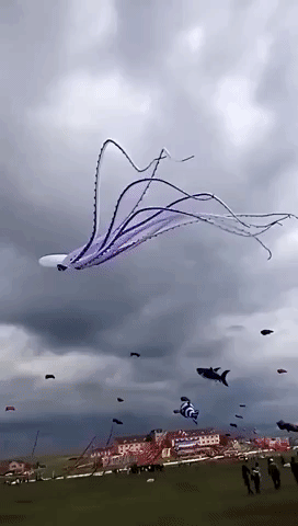 Octopus Kites in funny gifs