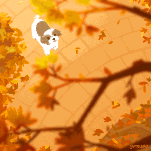 Fall Season Dog GIF by Olivia When Find & Share on GIPHY