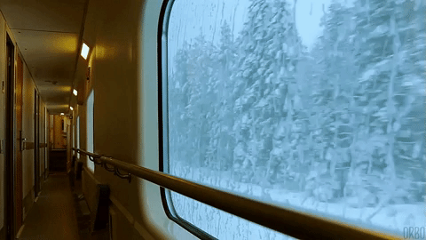 Winter Train GIF by agconti