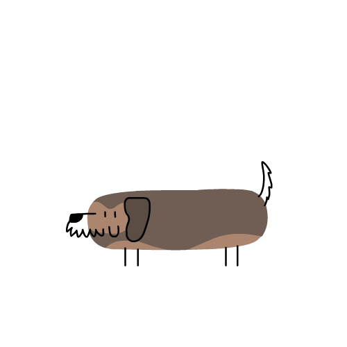 Sausage Dog GIFs Find & Share on GIPHY