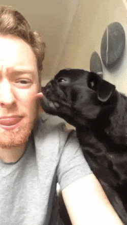 Get Some Love Back in animals gifs