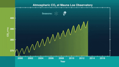 Atmospheric CO2 at Muana Loa Observatory
