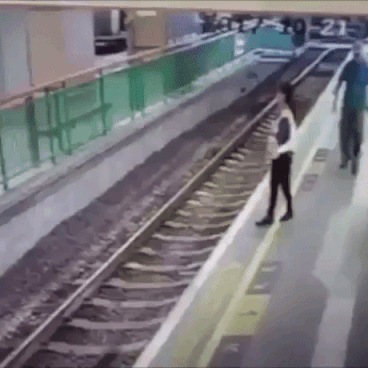 WTF Is Wrong With Humans in funny gifs