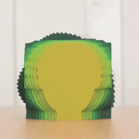 a moving perspective animation of a head with a plant growing out of it