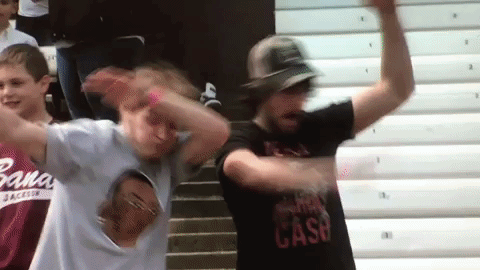 Kane County Cougars GIF