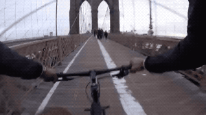 Thats Bicycle Path in funny gifs