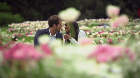 Bachelorette 13 - Rachel Lindsay - FAN FORUM SPOILED F1 -**B** (Bryan)- *Sleuthing Spoilers* Discussion  - Page 60 Giphy